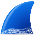 Wireshark抓包工具 3.6.5 X64英文版 官方最新版