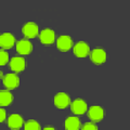 Greenshot(屏幕截图软件) 1.3.238 电脑版