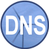 Simple DNS Plus(DNS服务器)官方版 8.5 免费版
