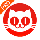 猫眼票房专业版最新版下载 v6.18.1