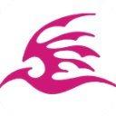 飞极速在线浏览器最新版下载