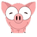 小猪阅读app最新版下载 v1.3