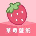 草莓壁纸免费安卓版下载 v1.7.0