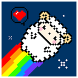 星咩视频壁纸安卓版
