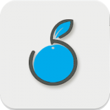 蓝莓智家安卓版下载 v2.1.5