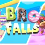 Bro Falls最新PC版下载 v1.55