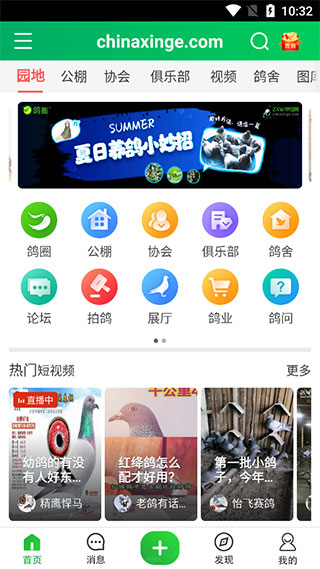 中国信鸽信息网app下载 v20231101