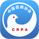 中国信鸽协会app下载 v2.24.0