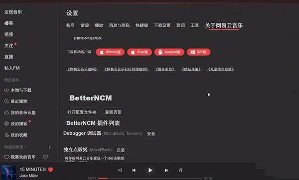 BetterNCM(网易云PC端插件) 0.1.1 电脑免费版