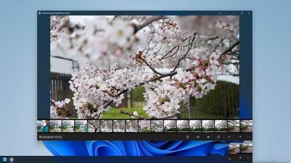 Sakura图片浏览器 15.0.0.70 官方电脑版